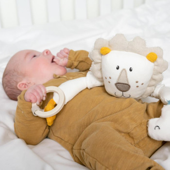 Activity lion fehnNATUR