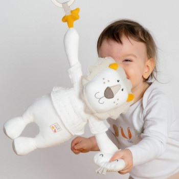 Activity lion fehnNATUR